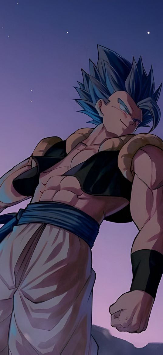 gogeta, fusion, dragonball, anime, character, sunset, art