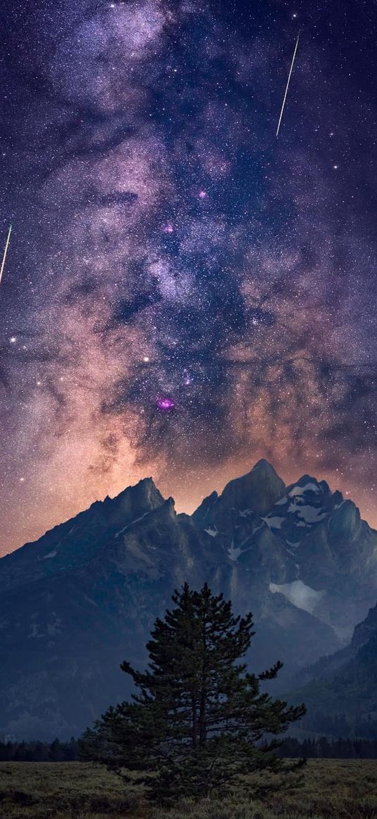 savannah, tree, mountains, valley, milky way, starry sky, comets, landscape