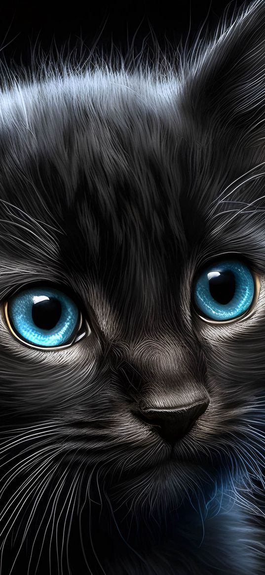 kitten, black, fluffy, art