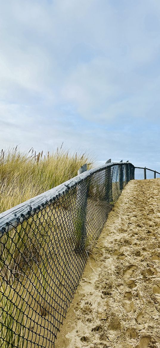 sand, footprints, fence, grass, clouds, sky, nature