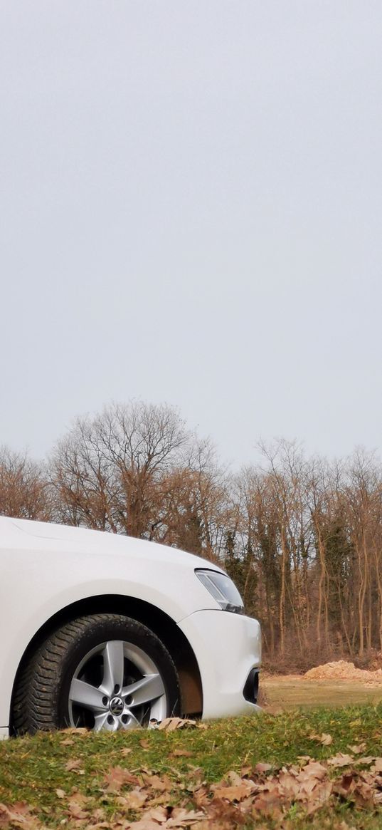 vw, jetta, nature, volkswagen, white, car