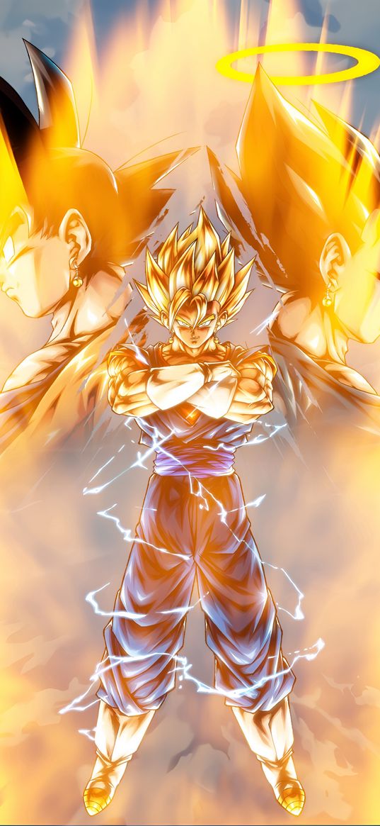 vegito, goku, vegeta, pothala, fusion, warrior, power