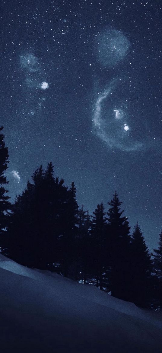 trees, forest, orion nebula, night
