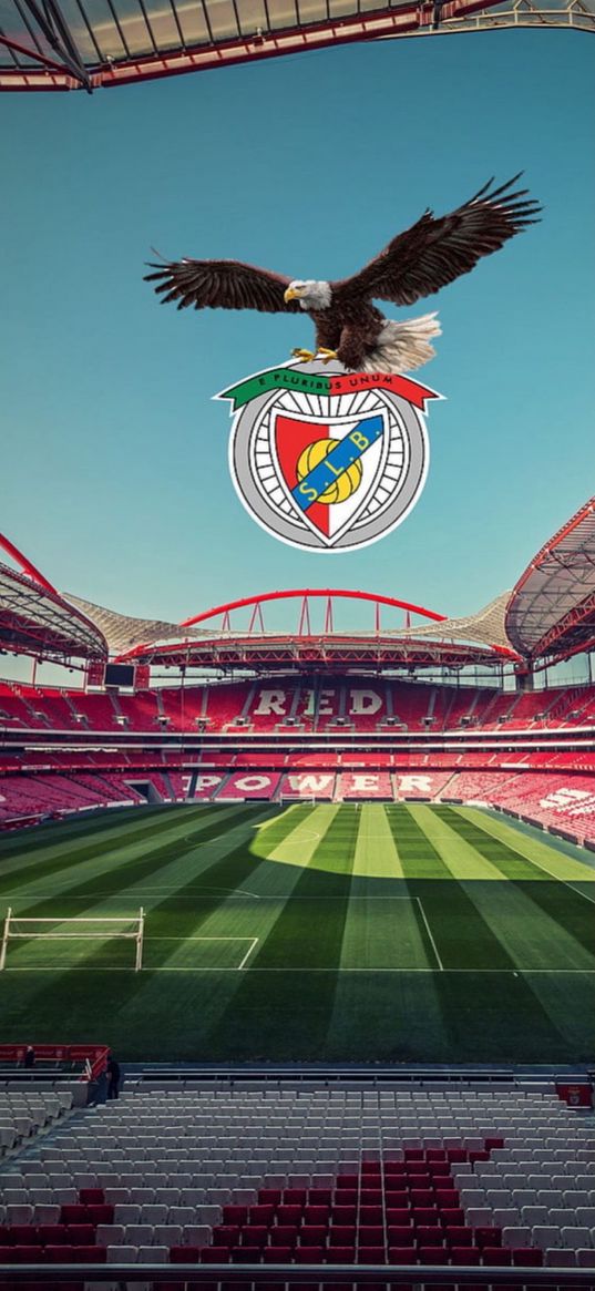 benfica, stadium, emblem, football