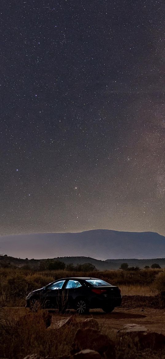 car, bushland, trees, hills, starry sky