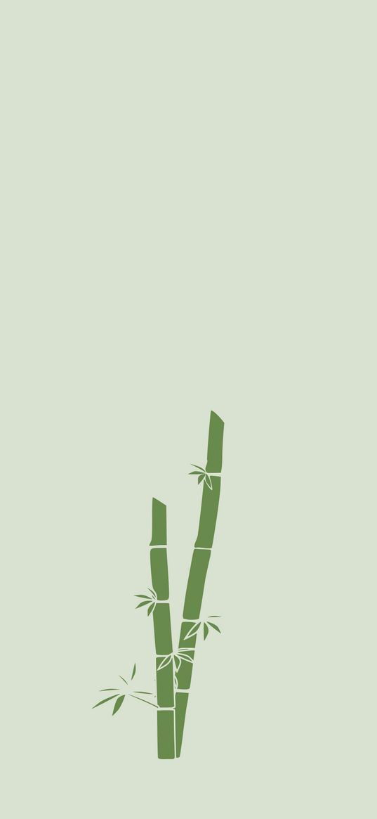 bamboo, minimalism, plant, green