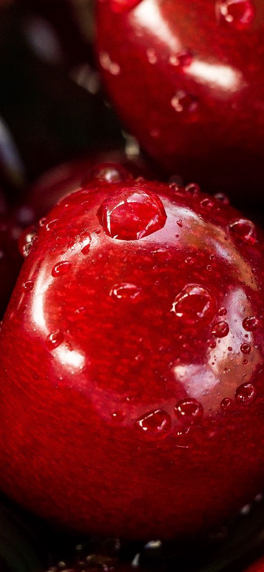 cherries, drops, wet, red, juicy, macro