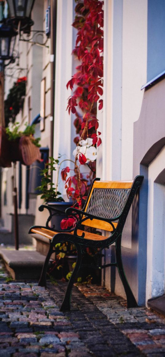 bench, street, comfort, aesthetics