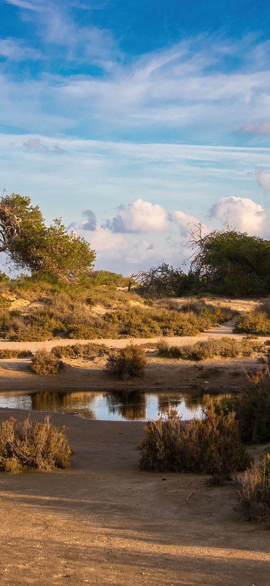 oasis, desert, savannah, nature