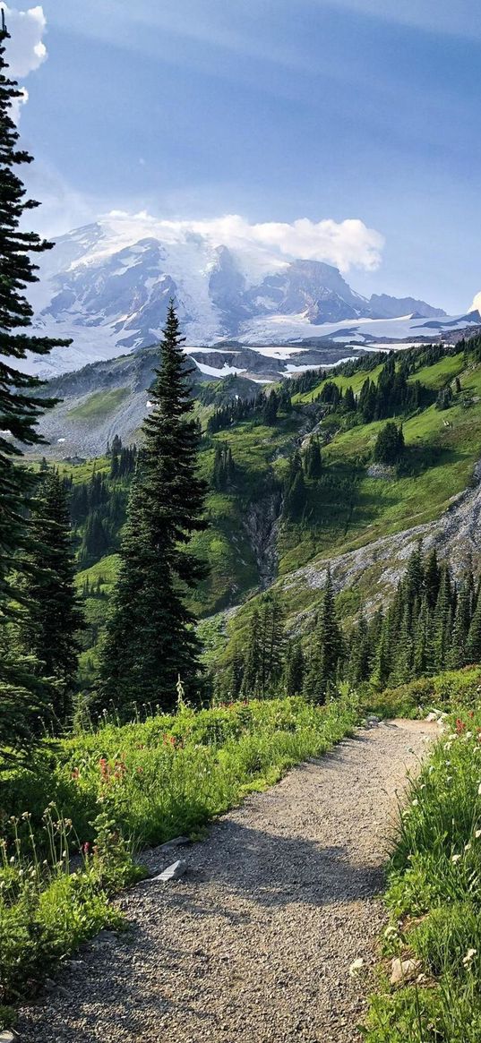 trail, trees, forest, mountains, clouds, blue sky, nature