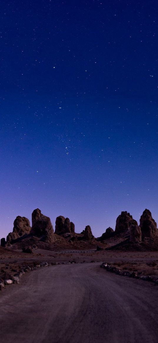 road, savannah, hills, starry sky, night, nature