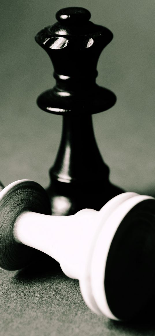 chess, pieces, black and white, game, glare