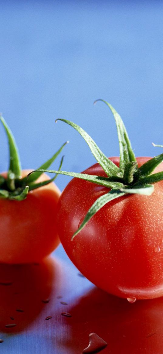 tomatoes, vegetables, tasty