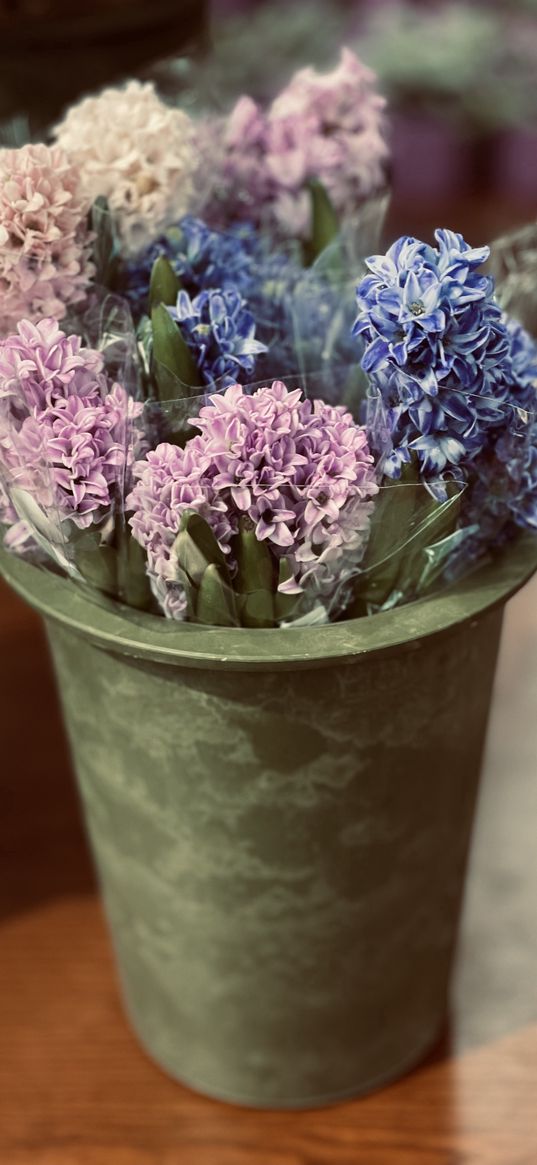 hyacinths, flowers, pink, blue, bouquet, vase