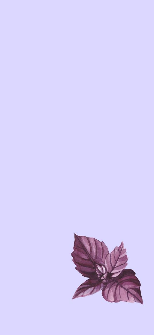 leaf, purple, background, minimalism