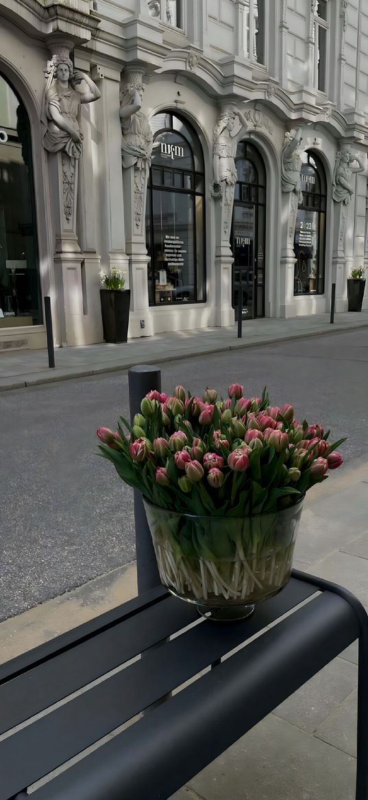 flowers, tulip, city, vase, bouqet, pink, red