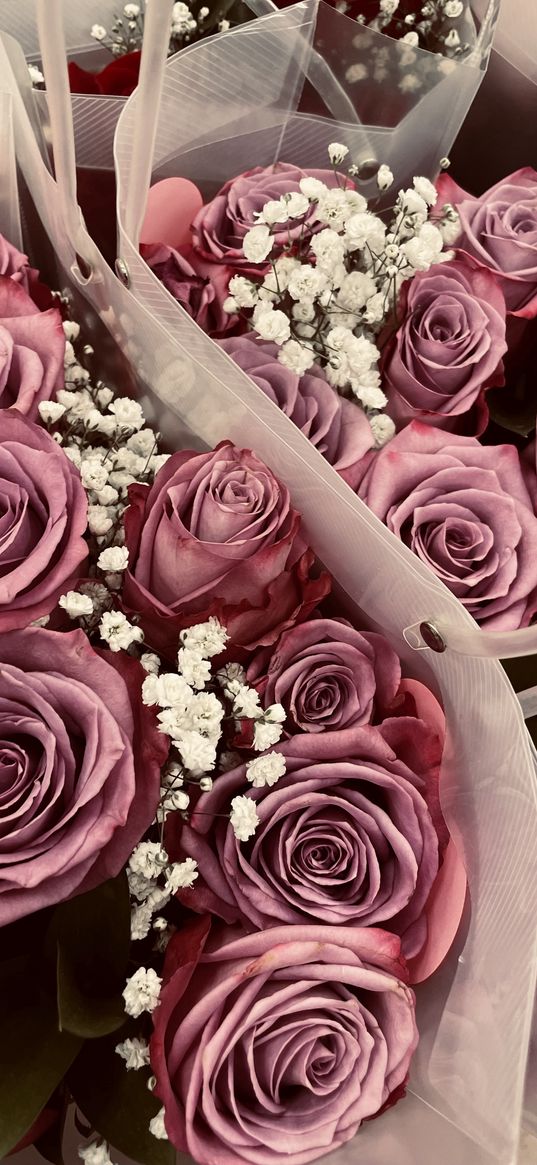 roses, flowers, pink, bouquets