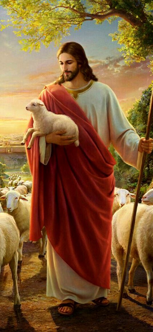 jesus, sheep, lamb, animals, faith, religion, dawn