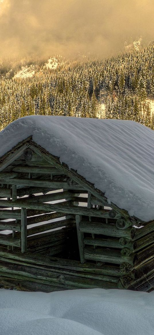 winter, snow, house, construction, forest, spruce, trees, logs