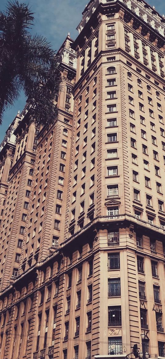 urban, architecture, building, tree