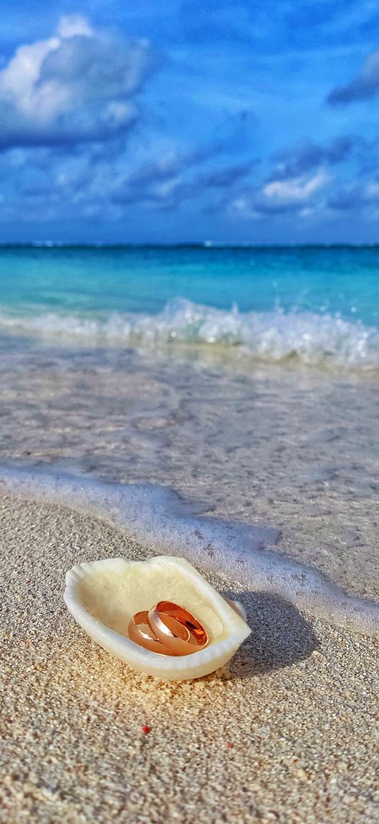 rings, shell, newlyweds, sand, beach, sea