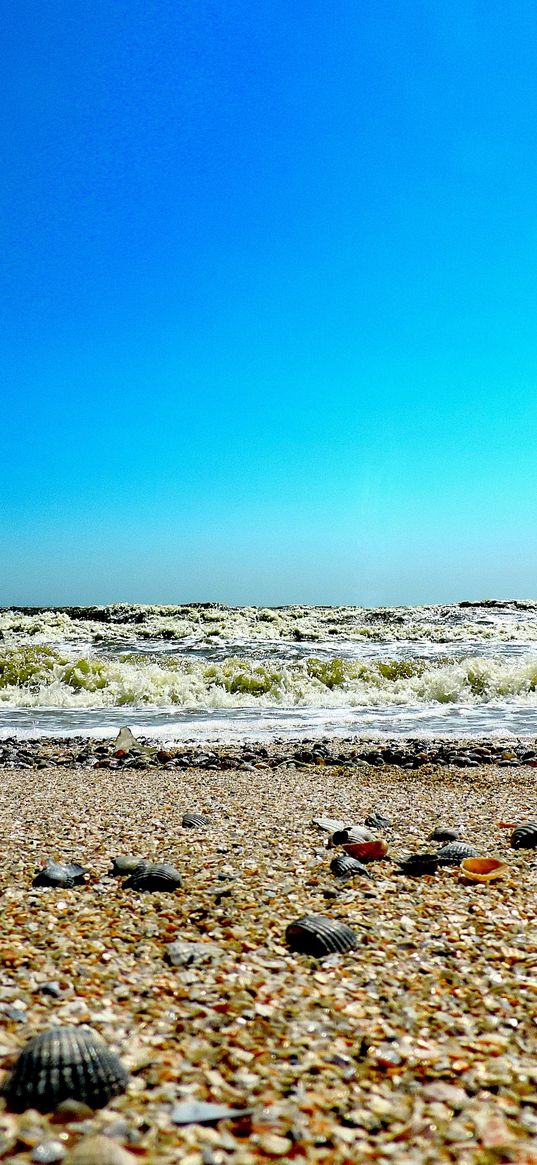 sea, waves, beach, seashells, summer