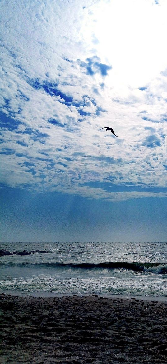 sea, beach, sand, dark, sky, clouds, sunlight, seagull