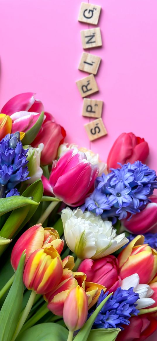 spring, inscription, tulips, hyacinths, flowers, bouquet