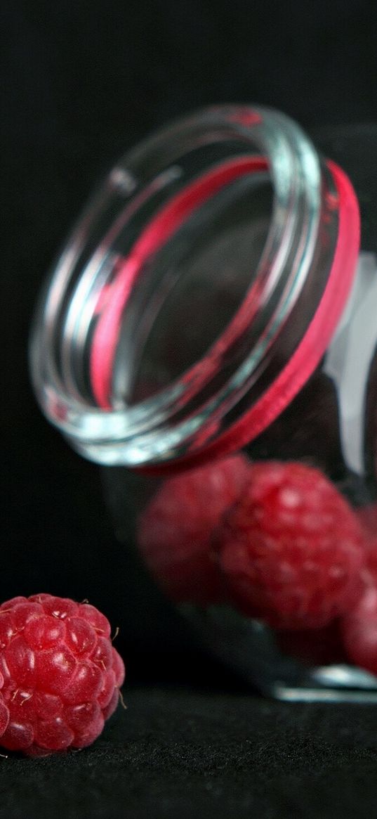 macro, berry, raspberry, bank