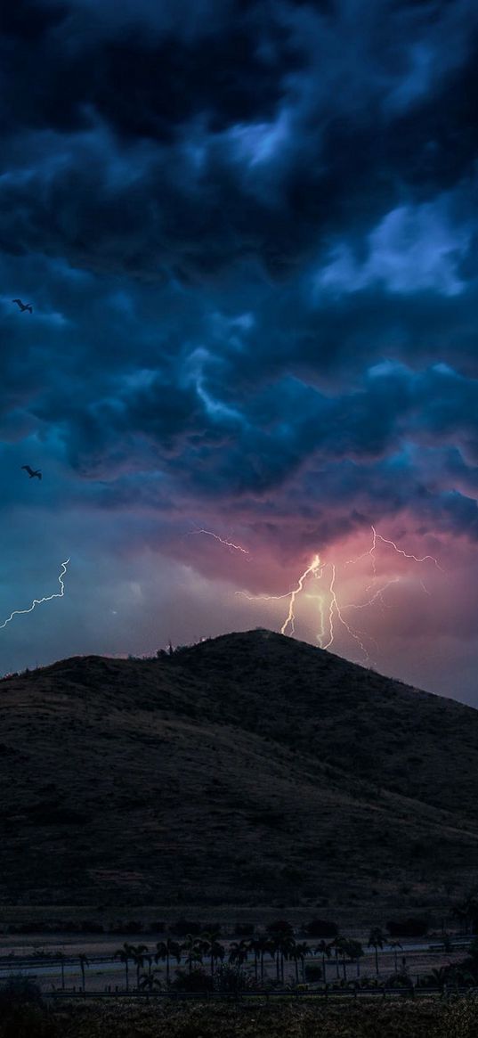 coconut tree, road, mountain, lightning, cloudy sky, storm