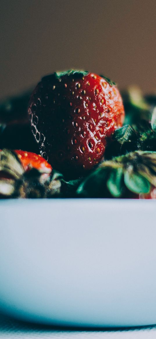 strawberries, berries, macro, bowl