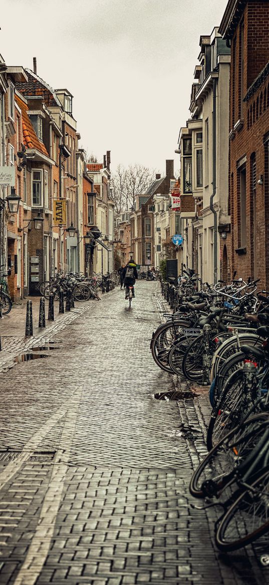 city, day, street, bicycles