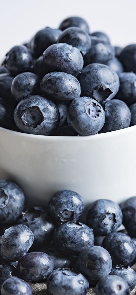 blueberries, berries, bowl, macro