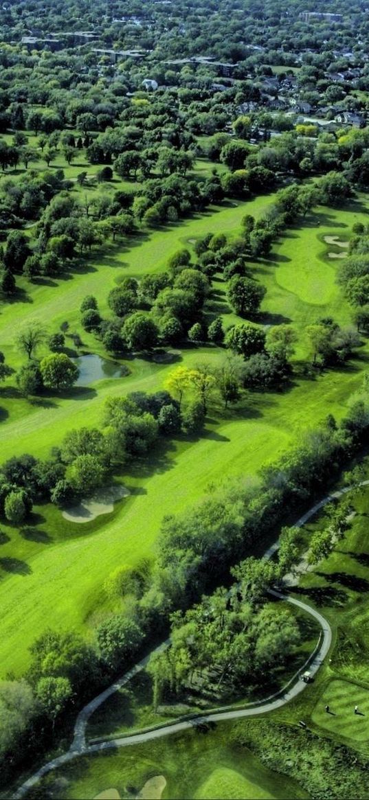 trees, view from the top, beautifully