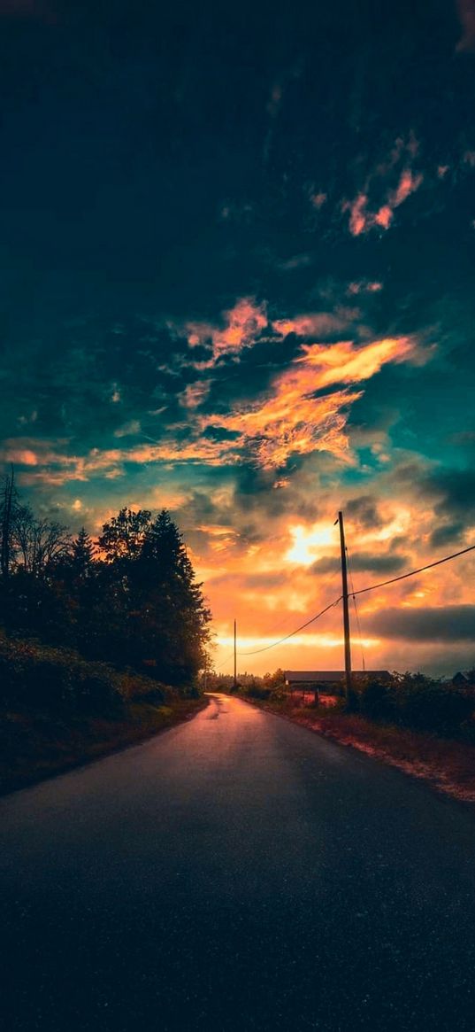 road, savannah, trees, sunset, electric pole, cloudy sky, landscape