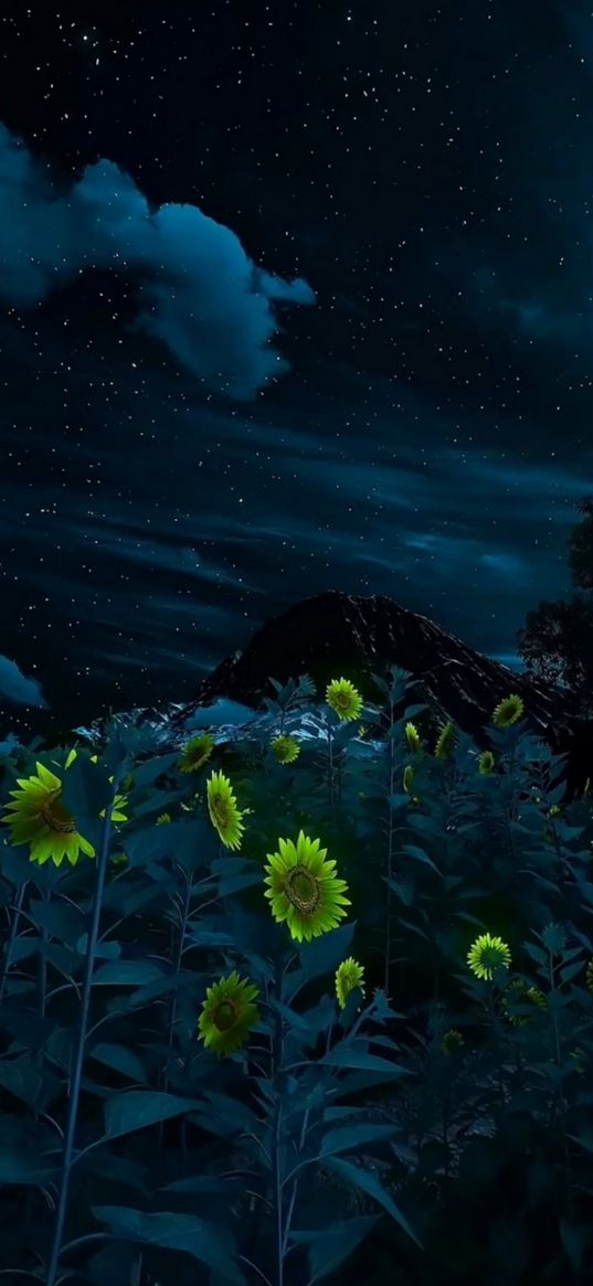 sunflowers, flowers, mountain, starry sky, night, nature