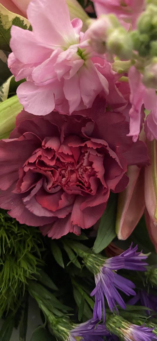 aster, carnation, lily, levka, flowers, bouquet