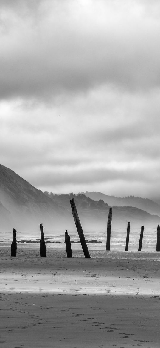 coast, pilings, sea, mountains, black and white