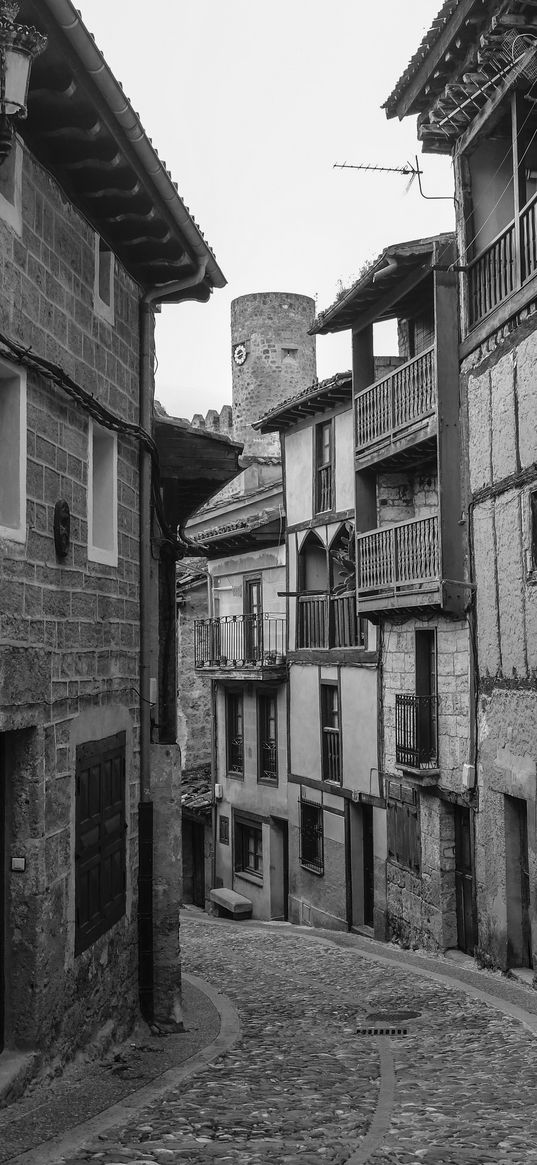 street, paving stones, buildings, houses, windows, black and white