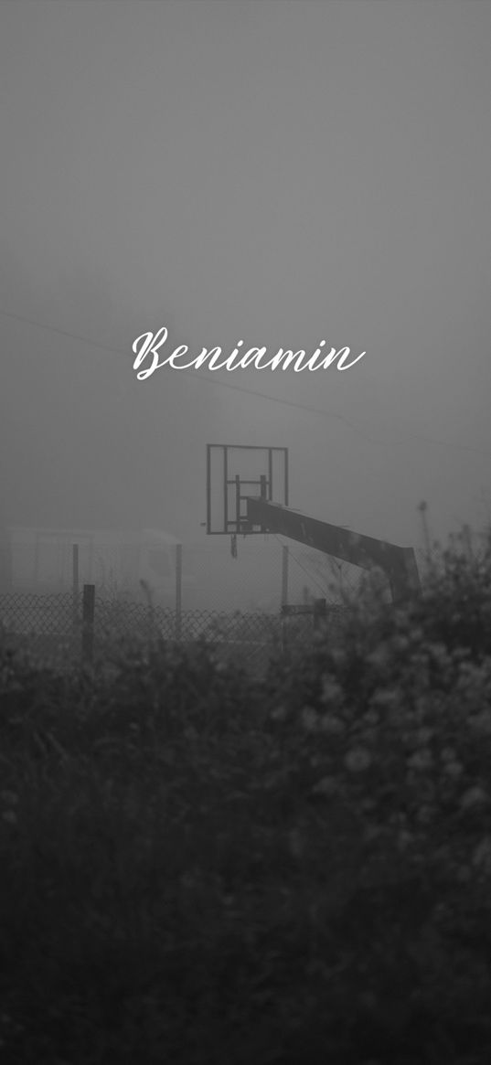 basketball court, field, plants, fog, inscription