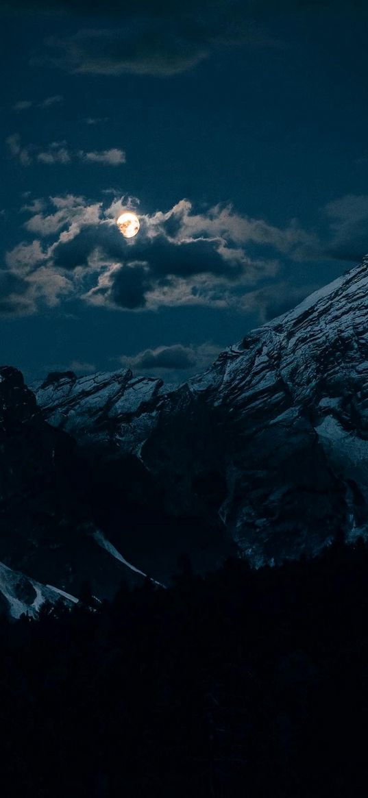 forest, valley, mountain, moon, cloudy sky, night