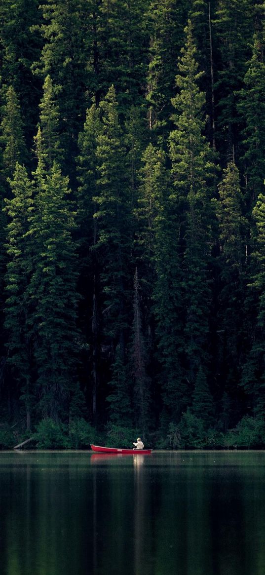 lake, boat, man, trees, forest, nature