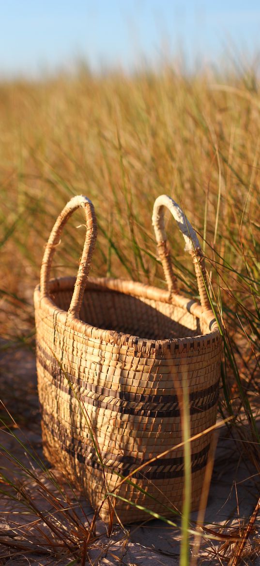 basket, braid, grass, sunshine, summer