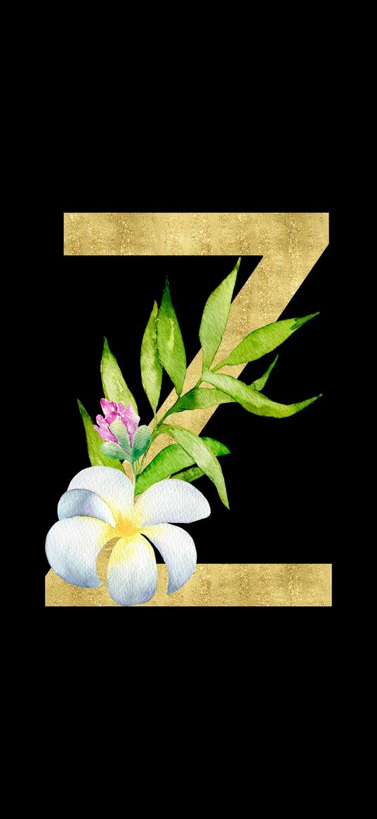 alphabet, letter, z