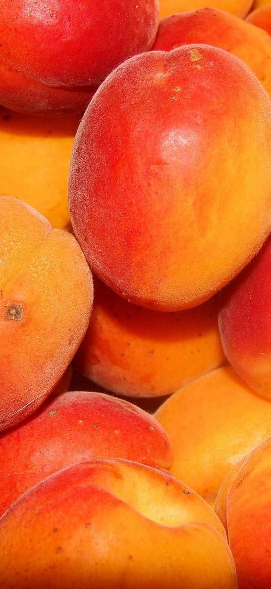 peaches, apricots, ripe, tasty, fruit