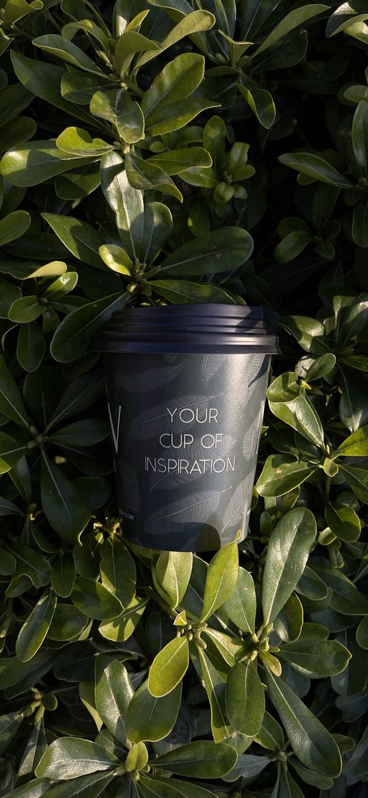 cup, black, inscription, greenery, plant