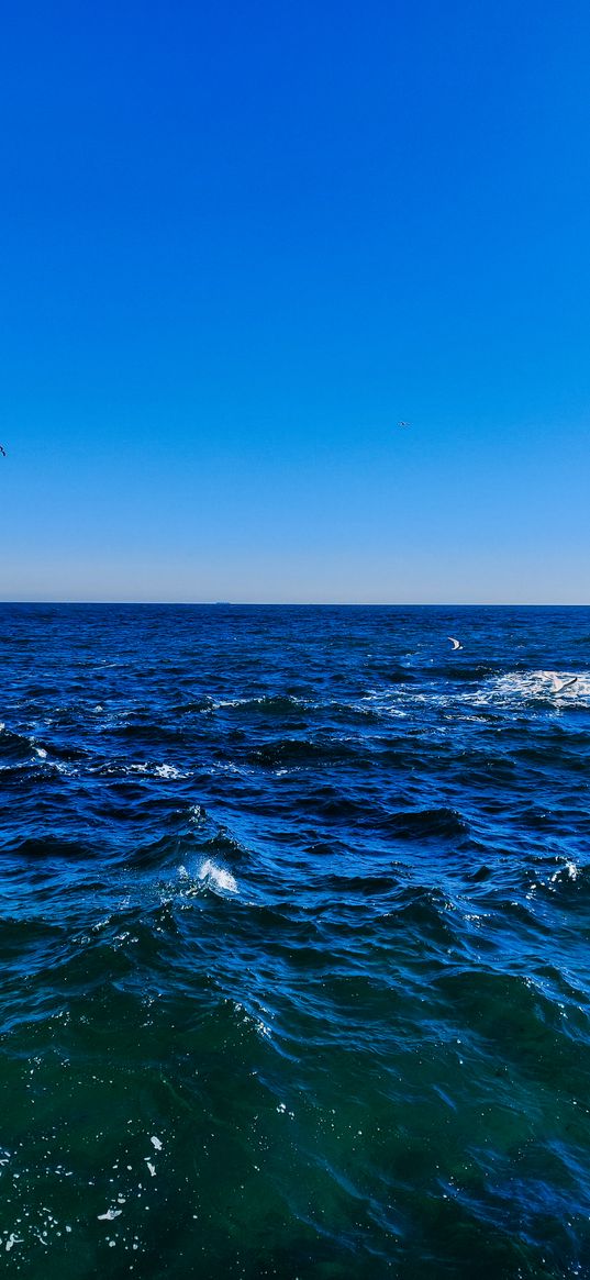 sea, waves, sky, horizon, blue