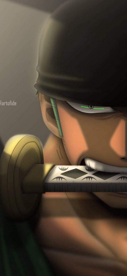 roronoa zoro, one piece, anime, character, man, warrior, sword, art