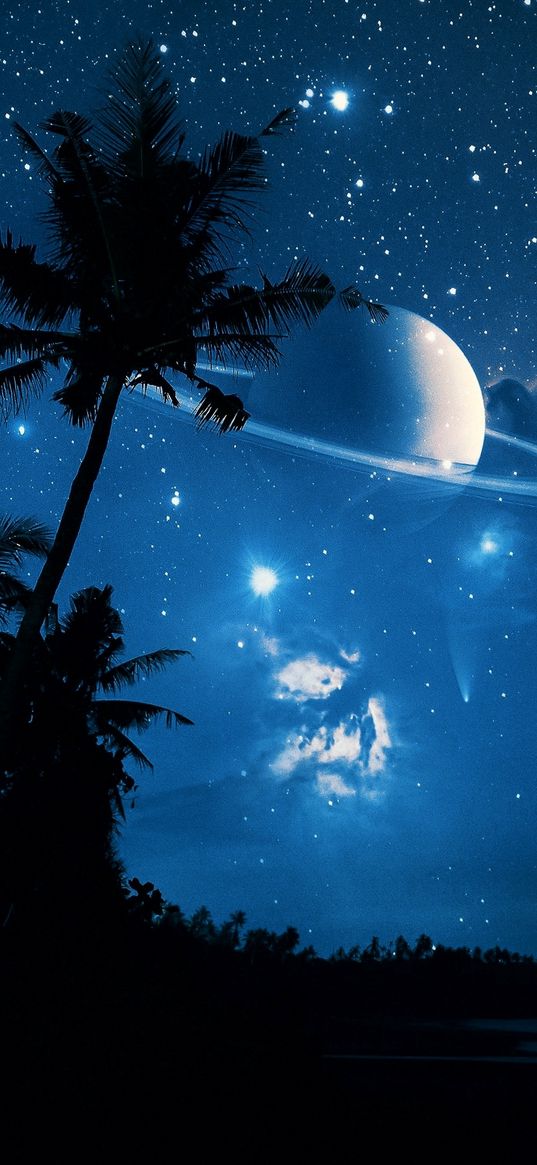 coconut tree, savannah, starry sky, planet, saturn