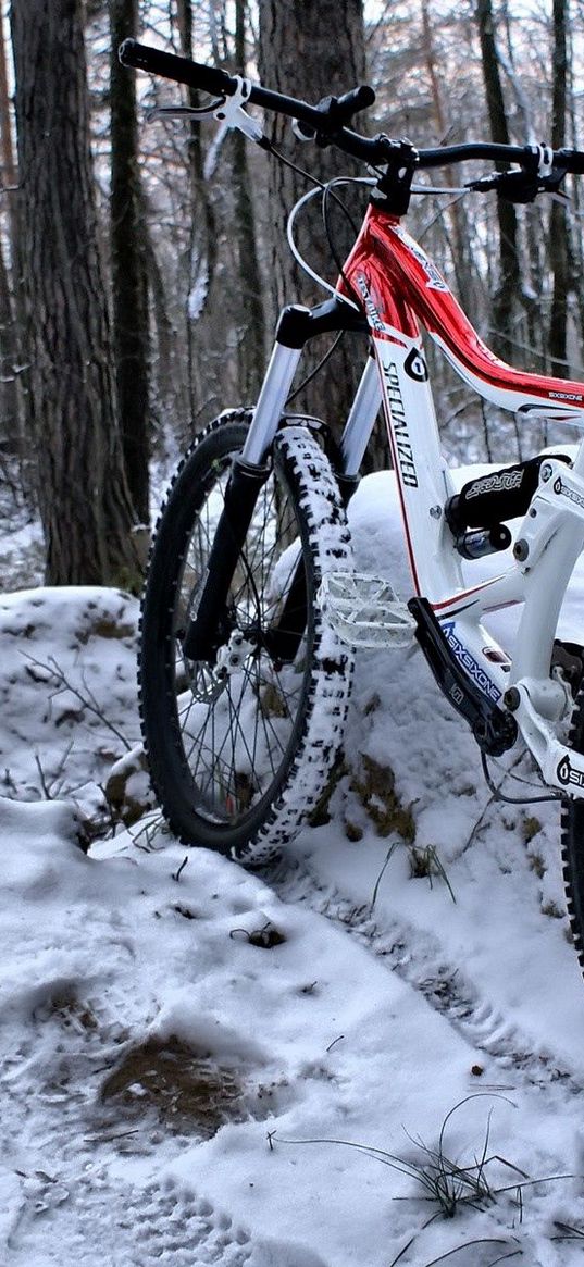 mountain bicycle, wood, traces, snow